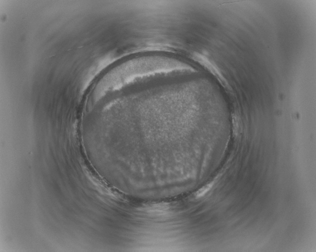 X0000070861260200607071849