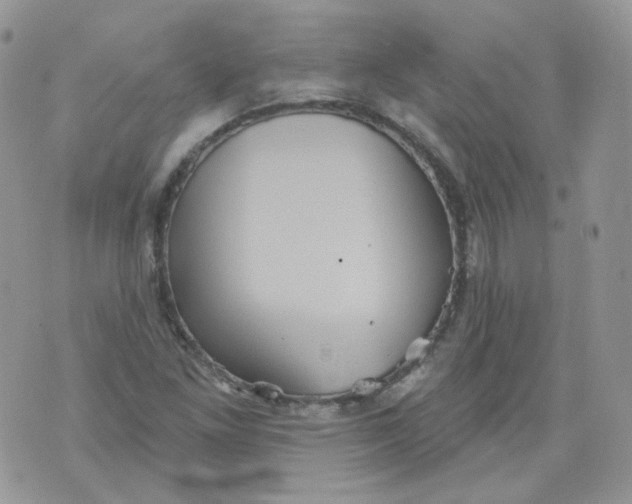 X0000070861261200607071849