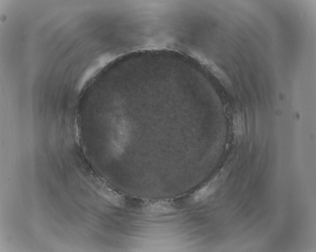 X0000070861262200607071849