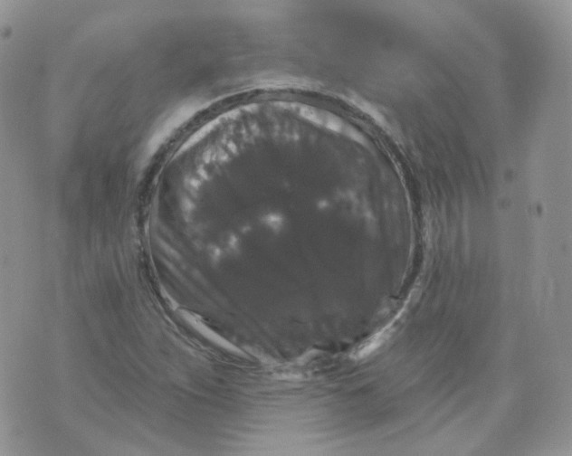 X0000070861263200607071849