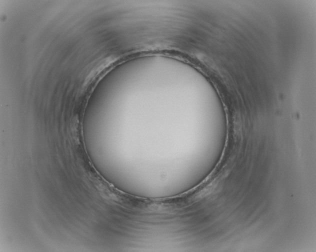 X0000070861265200607071849