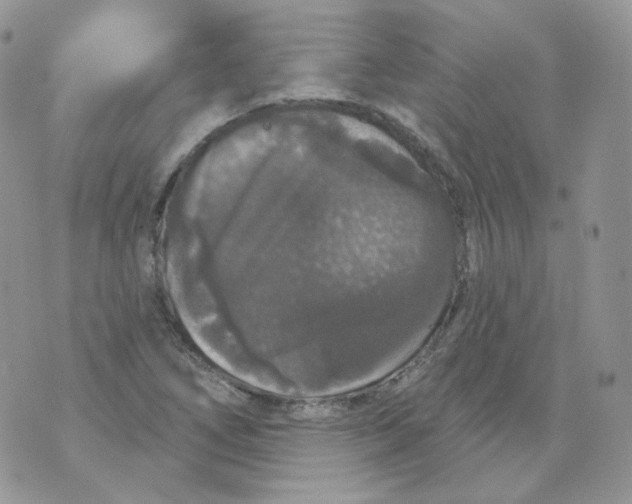 X0000070861266200607071849