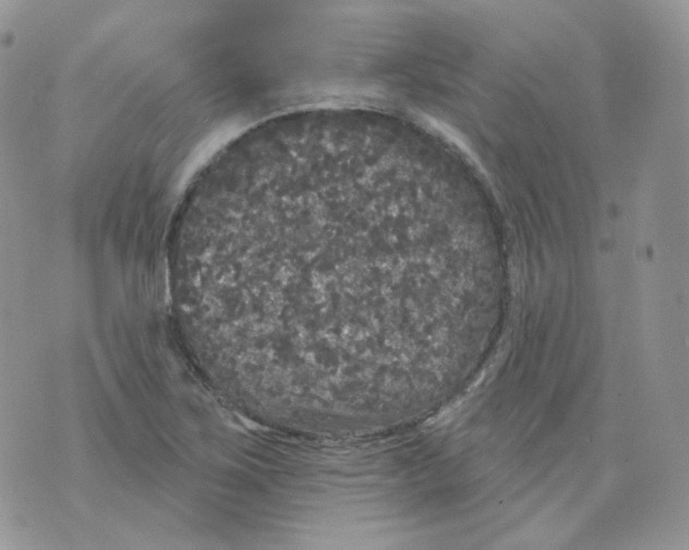 X0000070861267200607071849