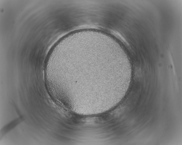 X0000070861268200607071849