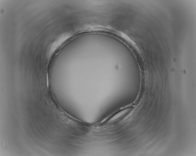 X0000070861269200607071849