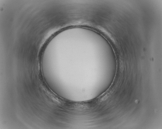 X0000070861270200607071849