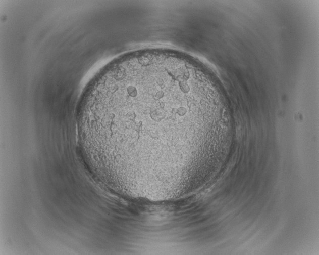 X0000070861271200607071849