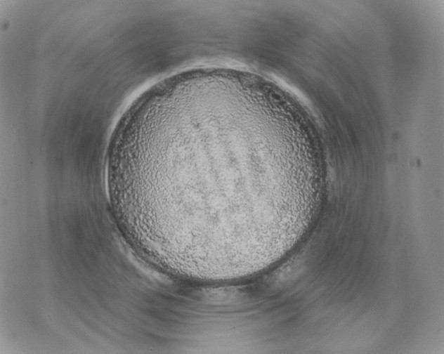 X0000070861272200607071848