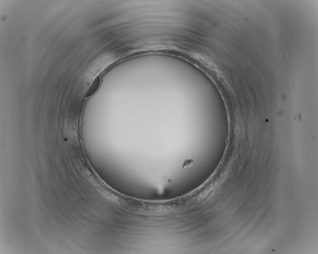 X0000070861273200607071848