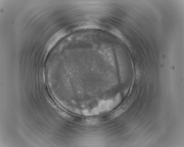 X0000070861274200607071848