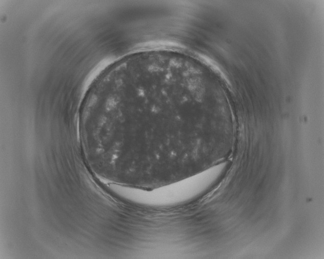 X0000070861275200607071848