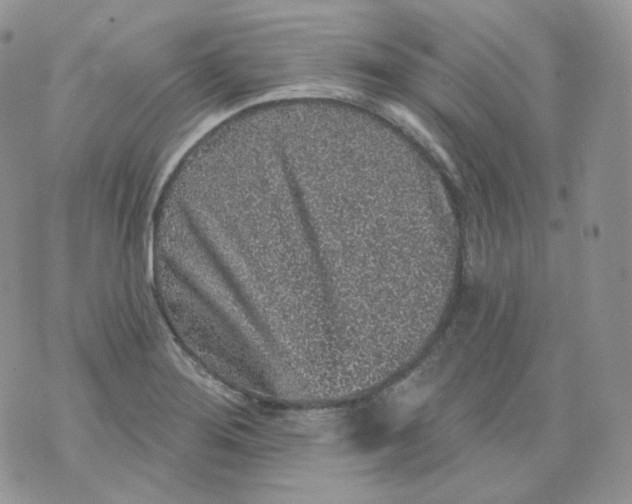 X0000070861276200607071848