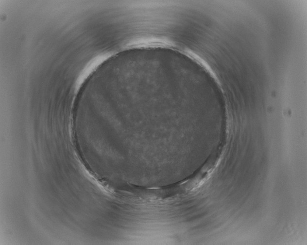 X0000070861277200607071848