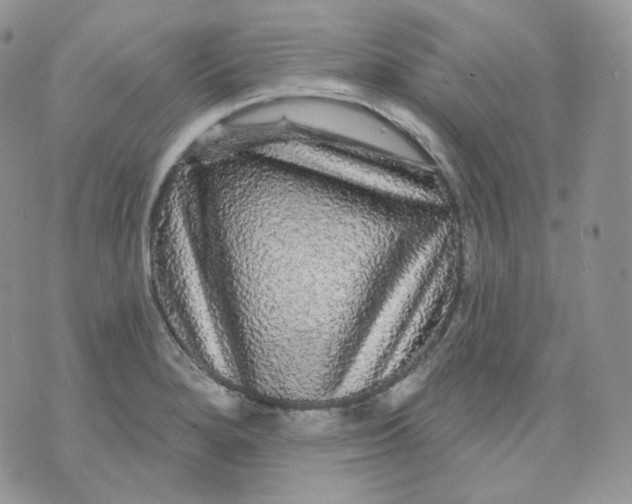 X0000070861280200607071848