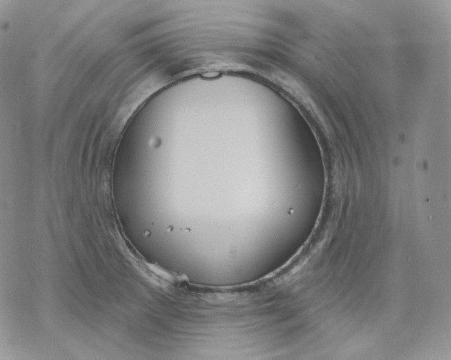 X0000070861281200607071848