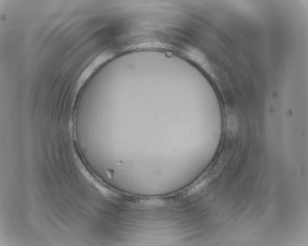 X0000070861282200607071848