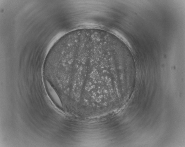 X0000070861283200607071848