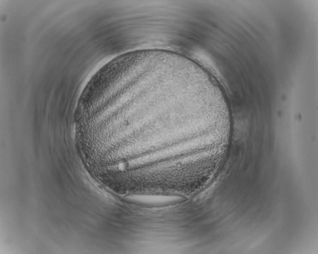 X0000070861284200607071848