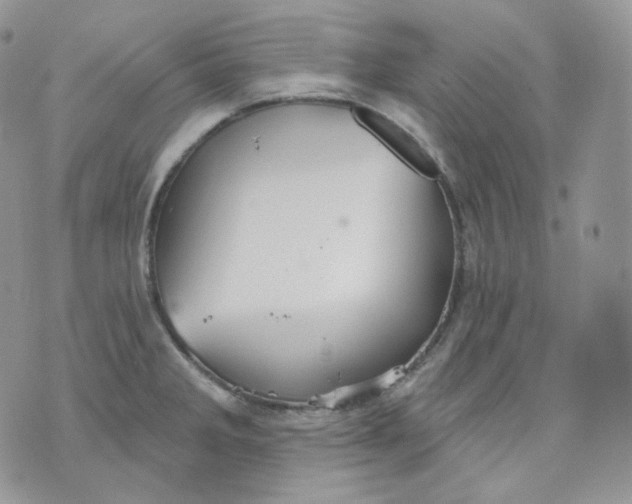 X0000070861285200607071848