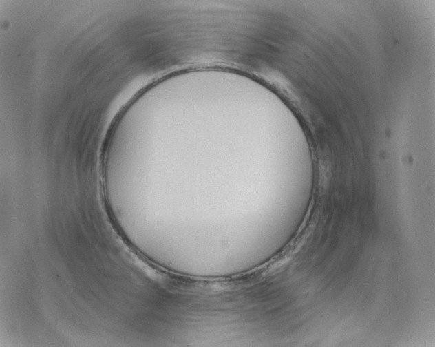 X0000070861286200607071848