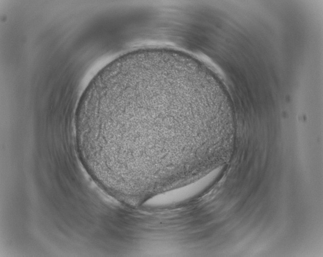 X0000070861287200607071848