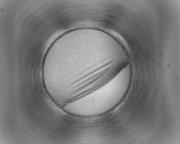 X0000070861288200607071848