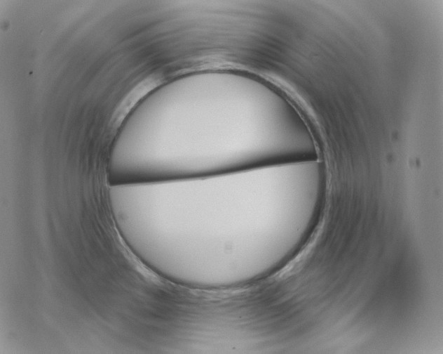 X0000070861289200607071848