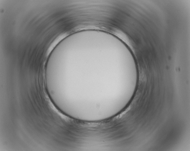 X0000070861290200607071848