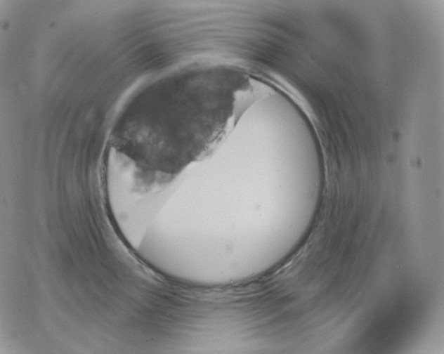 X0000070861291200607071848