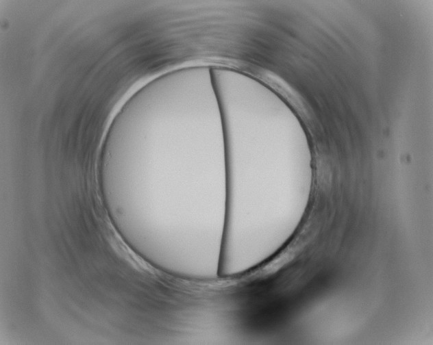 X0000070861292200607071848