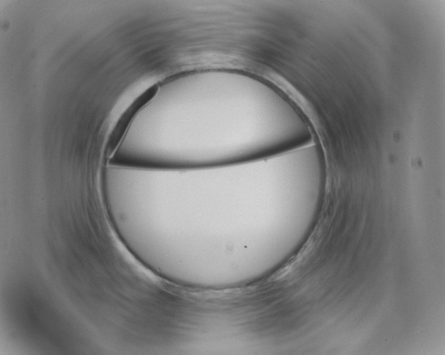 X0000070861293200607071848