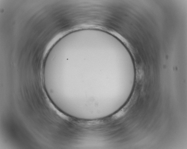 X0000070861294200607071848