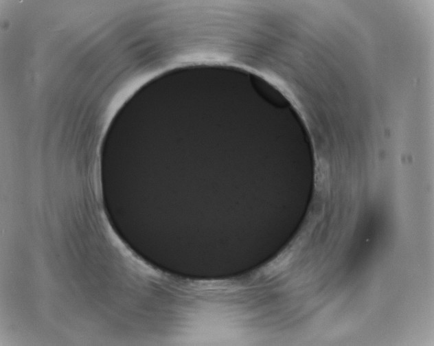 X0000070861295200607071848