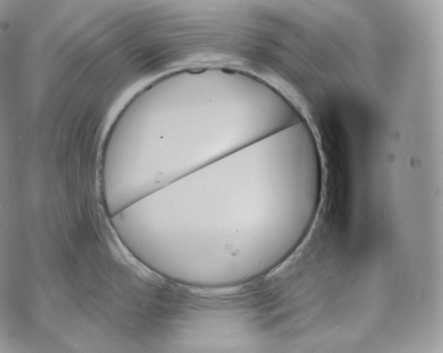 X0000070861296200607071848