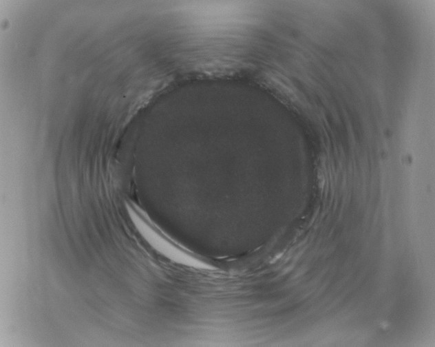 X0000070861298200607071847