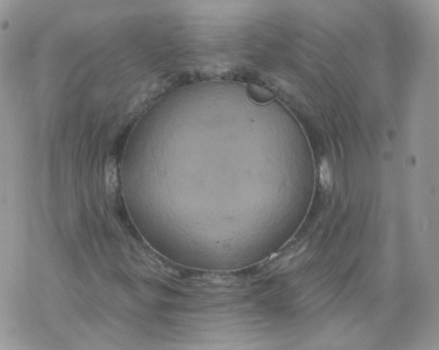 X0000070861299200607071847