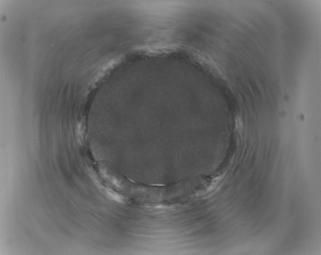 X0000070861300200607071847