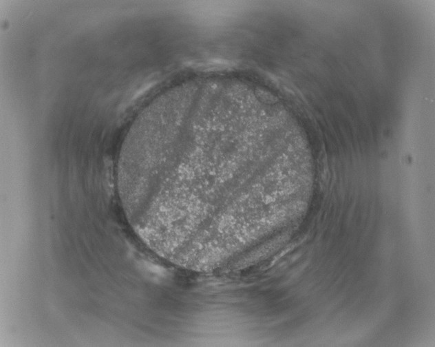 X0000070861301200607071847