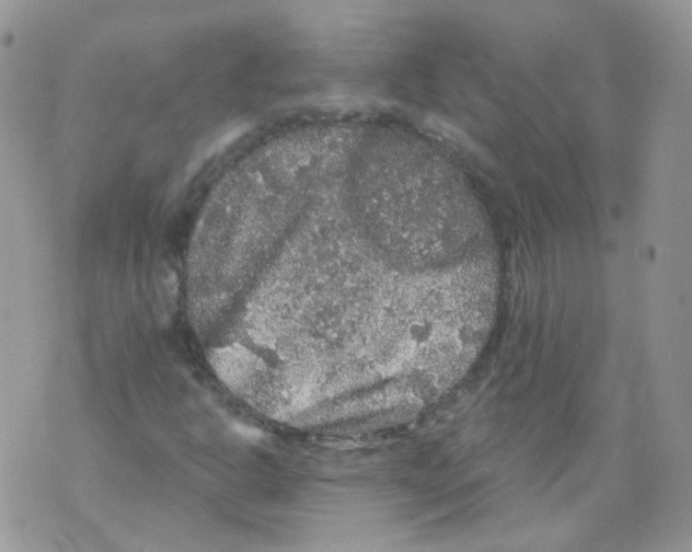 X0000070861302200607071847