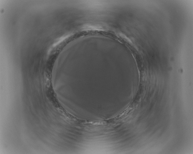 X0000070861303200607071847