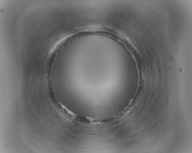 X0000070861304200607071847