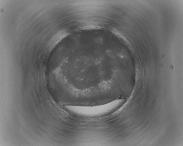 X0000070861305200607071847