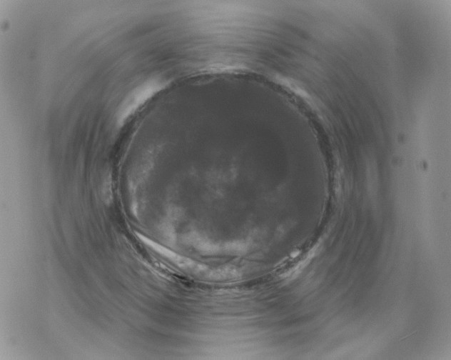 X0000070861306200607071847