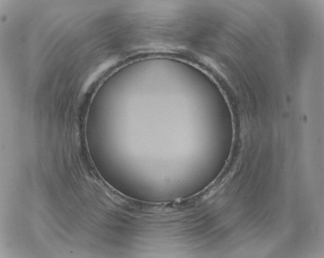 X0000070861307200607071847