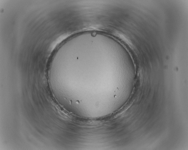 X0000070861308200607071848