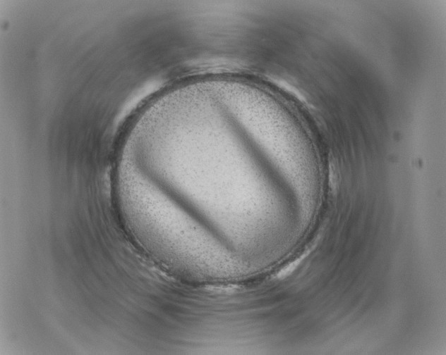 X0000070861309200607071848