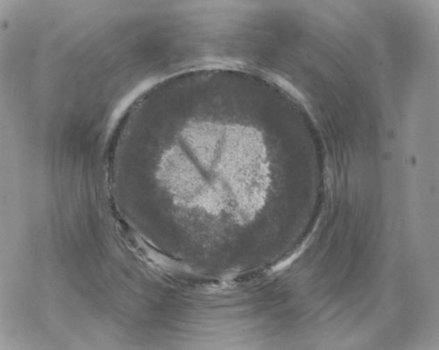 X0000070861310200607071848