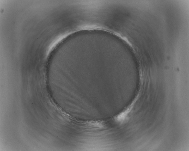 X0000070861311200607071848