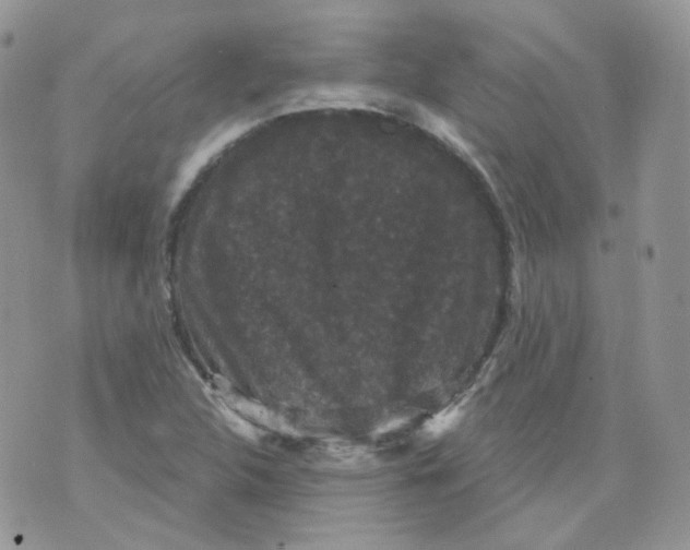 X0000070861312200607071848