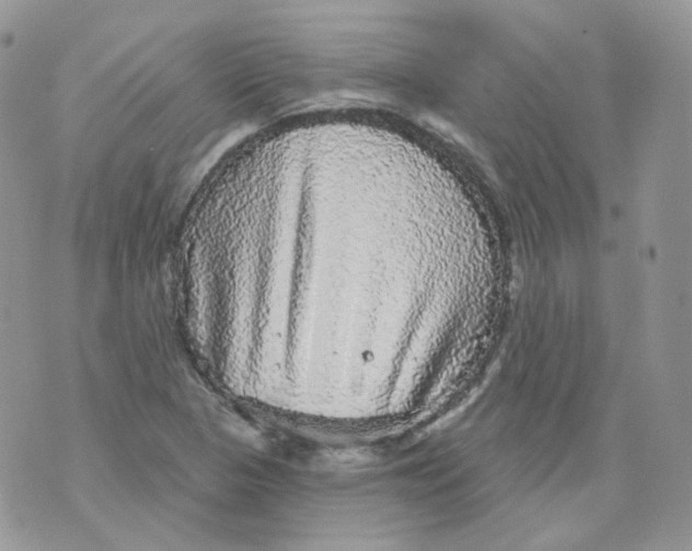 X0000070861313200607071848